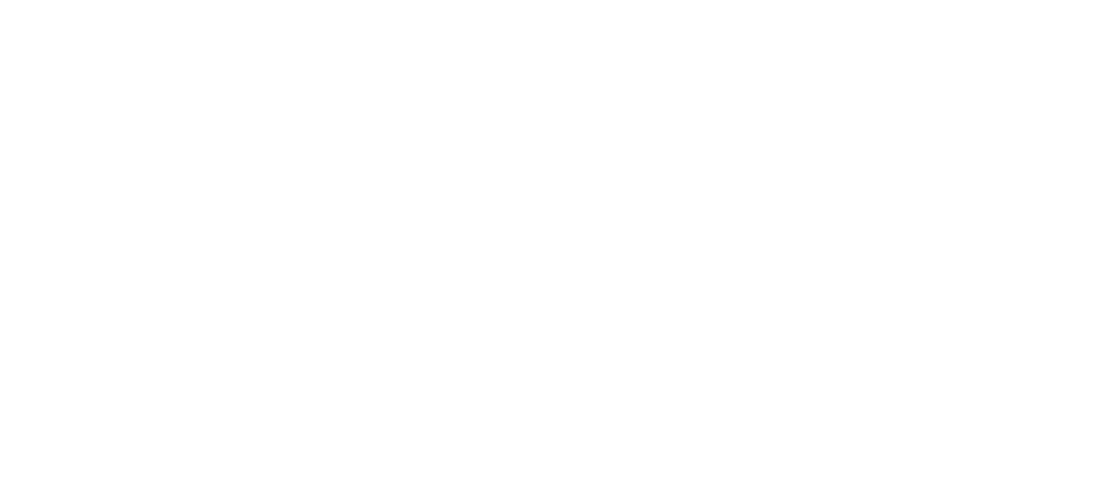 Logo Twelv blanc
